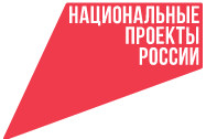 Национальные проекты России